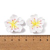 Resin Cabochons OACR-U002-03C-3