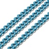 Spray Painted 304 Stainless Steel Curb Chains STAS-B067-05B-06-1