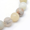 Round Natural Flower Amazonite Bead Strands X-G-R345-6mm-17-3