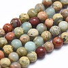 Natural Aqua Terra Jasper Beads Strands G-N0128-48-4mm-1