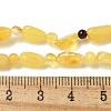 Natural Amber Beads Strands G-K387-C02-01-4