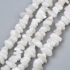 Natural White Moonstone Beads Strands X-G-P332-01-3
