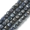 Natural Sapphire Beads Strands G-748-N01-1