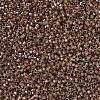 MIYUKI Delica Beads SEED-X0054-DB0287-3
