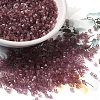 Transparent Glass Seed Beads SEED-S042-21B-03-1