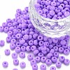 6/0 Glass Seed Beads SEED-T005-14-B04-1