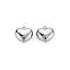 Non-Tarnish 304 Stainless Steel Charms STAS-N097-148P-1