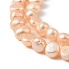 Natural Cultured Freshwater Pearl Beads Strands PEAR-P064-19J-01A-4