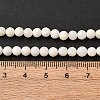 Shell Beads Strands SSHEL-E571-38-4mm-01-3