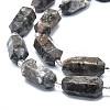 Natural Fluorescent Syenite Rock(Glow under UV Light) Beads Strands G-F715-055-3