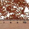 15/0 Transparent Czech Glass Seed Beads SEED-N004-004-18-6