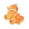 Opaque Resin Imitation Food Pendants FIND-E060-02-2