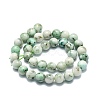 Natural Chrysocolla Beads Strands G-E576-04A-2