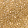 MIYUKI Delica Beads X-SEED-J020-DB0100-3