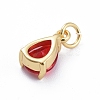 Brass Micro Pave Cubic Zirconia Pendants ZIRC-E164-64G-3
