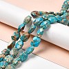 Natural Imperial Jasper Beads Strands G-F752-B01-2