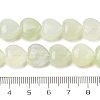 Natural New Jade Beads Strands G-H005-C16-02-5