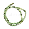 Natural Serpentine Beads Strands G-Z110-C04-4mm-3