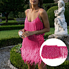 5M Paillette Tassel Polyester Ribbon Trim OCOR-BC0006-56C-6