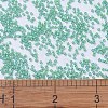 MIYUKI Delica Beads X-SEED-J020-DB2053-4