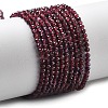 Natural Garnet Beads Strands G-H079-A01-02B-1