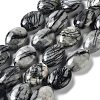 Natural Black Silk Stone/Netstone Beads Strands G-L164-A-24-1