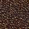 TOHO Round Seed Beads SEED-XTR08-0421-2