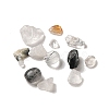 Natural Black Rutilated Quartz Beads G-O103-30-2