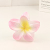 Plastic Claw Hair Clip OHAR-PW0003-036F-1