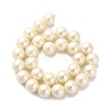 Shell Pearl Beads Strands BSHE-XCP0001-32-2