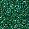MIYUKI Round Rocailles Beads X-SEED-G009-RR0354-3