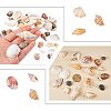 Mixed Natural Shell Bead Sets BSHE-PH0003-03-6