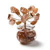Natural Carnelian Chips Tree Decorations DJEW-Z007-02C-1