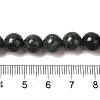 Natural Black Jade Beads Strands X-G-H067-A03-6MM-5