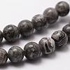 Natural Map Stone/Picasso Stone/Picasso Jasper Bead Strands G-D840-60-8mm-5