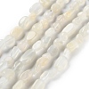 Natural White Moonstone Beads Strands G-P497-01C-65-2