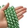 Eco-Friendly Glass Pearl Beads Strands HY-A008-14mm-RB008-4