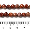 Natural Red Snakeskin Jasper Beads Strands G-H298-A02-02-5