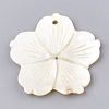 Freshwater Shell Pendants SHEL-S274-16-2