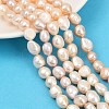 Natural Cultured Freshwater Pearl Beads Strands PEAR-P064-20L-04B-1