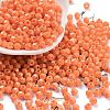 Baking Paint Glass Seed Beads X1-SEED-A032-02J-1
