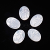 Natural White Shell Cabochons SSHEL-D083-14-1