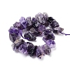 Natural Amethyst Beads Strands G-I283-F04-2