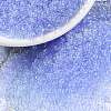 MIYUKI Round Rocailles Beads SEED-JP0010-RR0159L-1