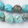 Natural Magnesite Beads Strands TURQ-K004-05-10mm-3