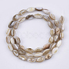 Freshwater Shell Beads Strands X-SHEL-S276-34B-2