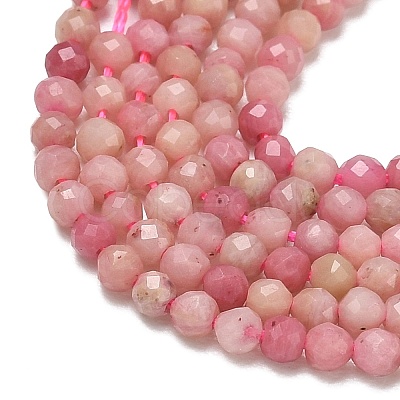 Natural Rhodonite Beads Strands X-G-P553-G06-01-1