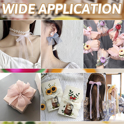Organza Ribbon SRIB-FW0001-03-1