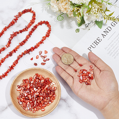 Natural Freshwater Shell Beads Strands BSHE-WH0006-05C-1