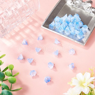 38Pcs Glass Charms GLAA-TADJ0001-19A-1